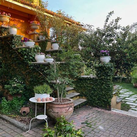 Home Sweet Home Gallicano nel Lazio Zewnętrze zdjęcie